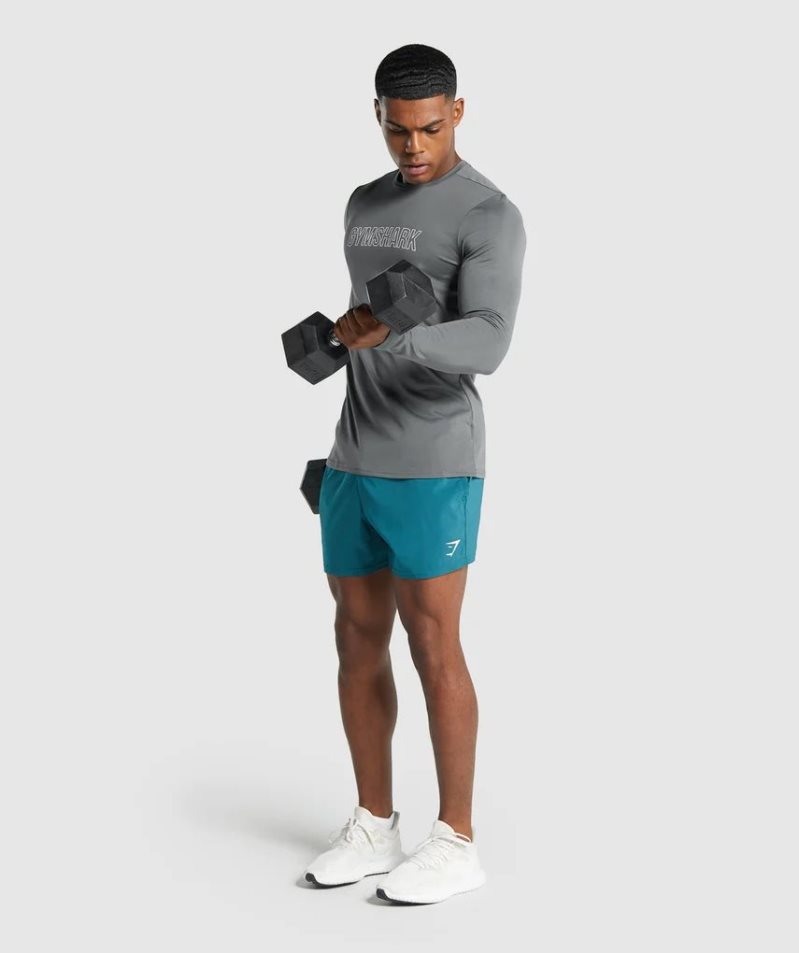 Men's Gymshark Arrival Long Sleeve Graphic T-Shirts Grey | NZ 3NHPIJ